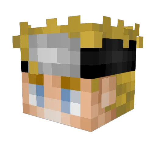 d4w12 Minecraft avatar head, 3D render