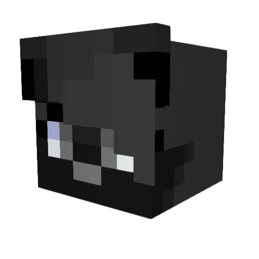 d5unk Minecraft avatar head, 3D render