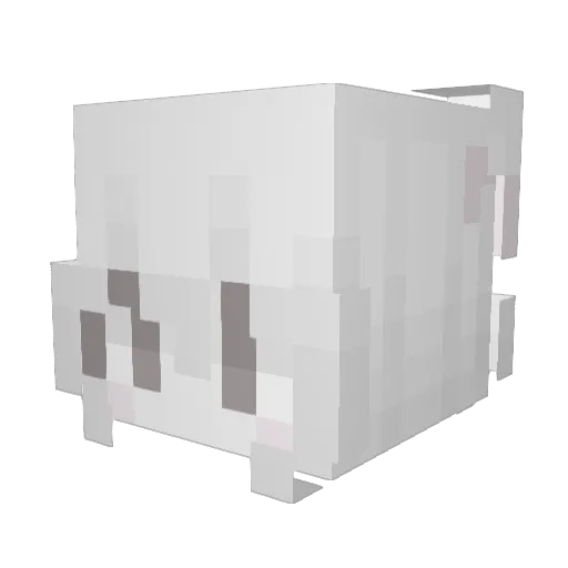 d80 Minecraft avatar head, 3D render