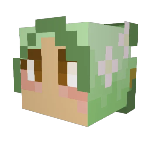 d8dka Minecraft avatar head, 3D render