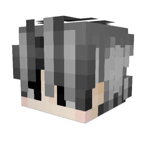 d8rk_ Minecraft avatar head, 3D render
