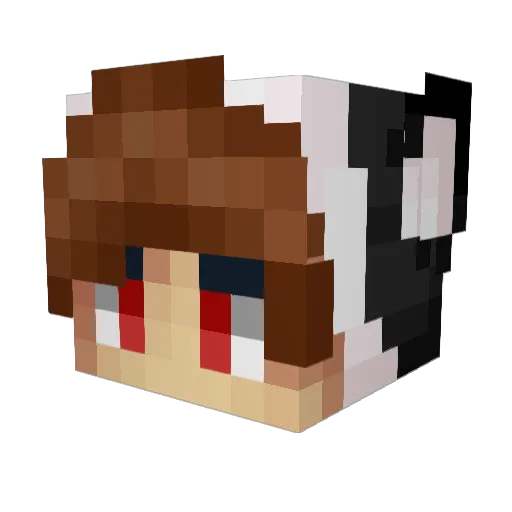 d8y Minecraft avatar head, 3D render