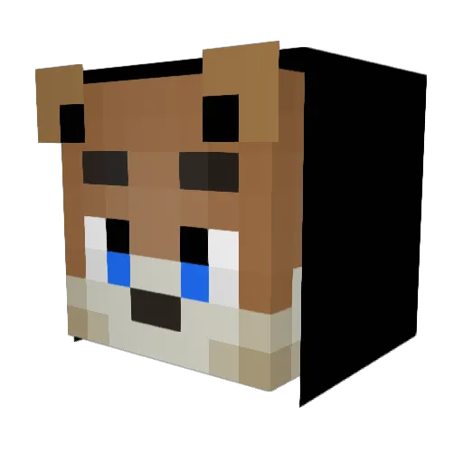 d9x8 Minecraft avatar head, 3D render