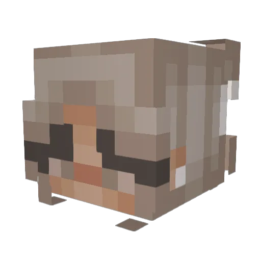 dAddyOFive76 Minecraft avatar head, 3D render