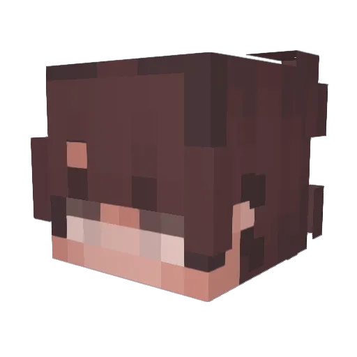 dArkcydeRx Minecraft avatar head, 3D render