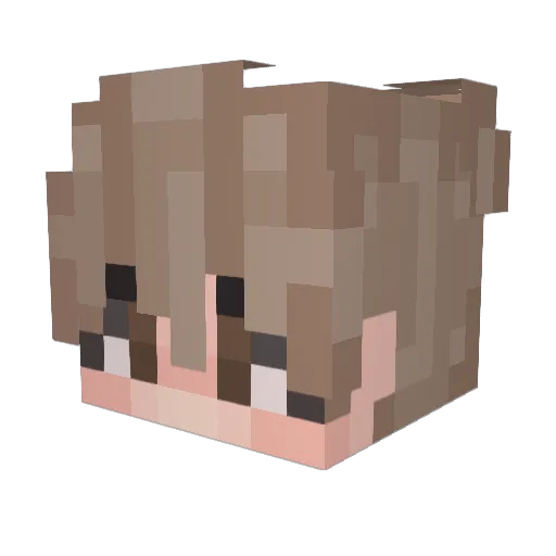 dBeaver_Feaverb Minecraft avatar head, 3D render