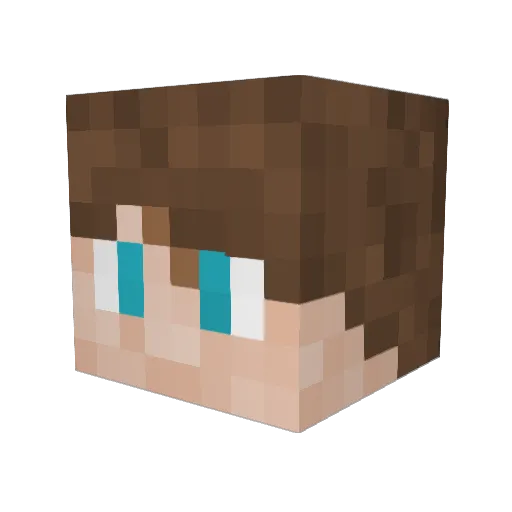 dDarwin Minecraft avatar head, 3D render