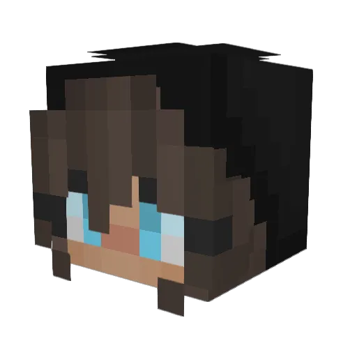 dDragonerd Minecraft avatar head, 3D render