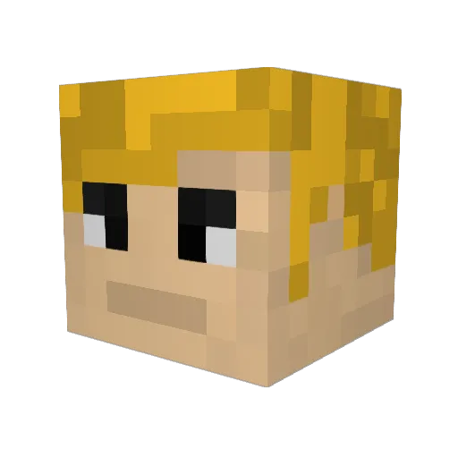dIELEKTRIc Minecraft avatar head, 3D render