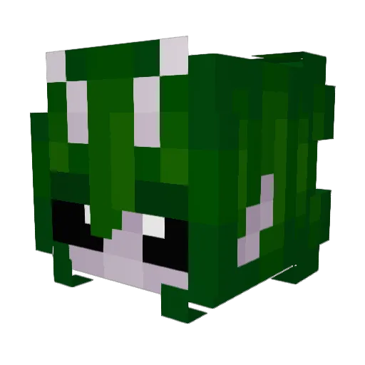 dNelle Minecraft avatar head, 3D render