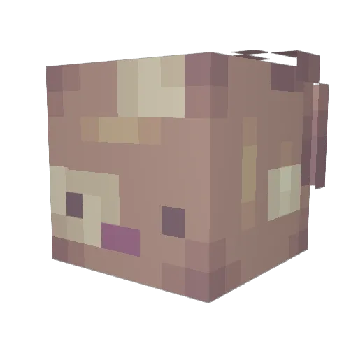dOWOp Minecraft avatar head, 3D render