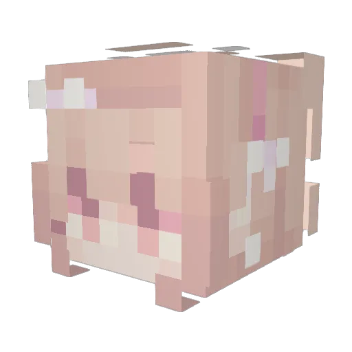 dRr_kAt Minecraft avatar head, 3D render