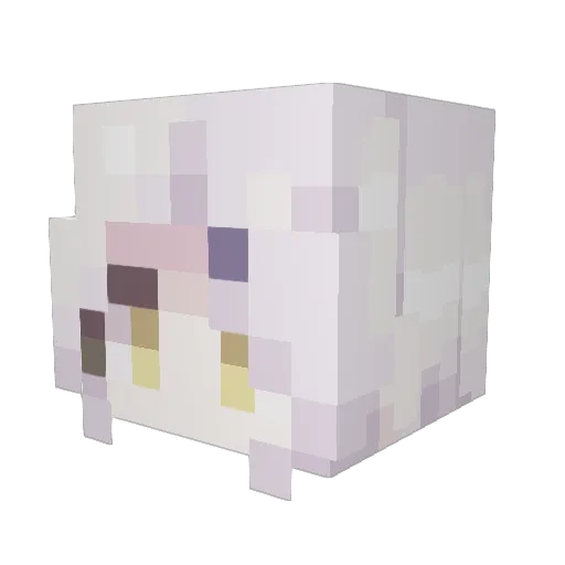 dUCK_106 Minecraft avatar head, 3D render