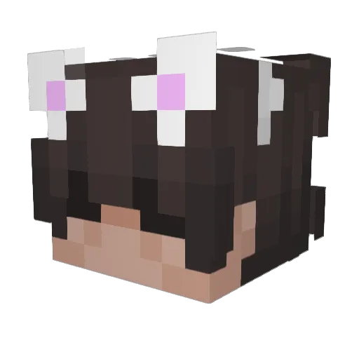 dZanik9 Minecraft avatar head, 3D render