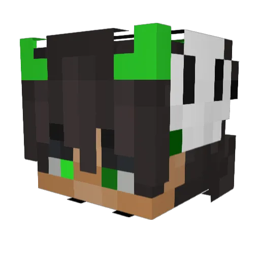 da1yaan Minecraft avatar head, 3D render