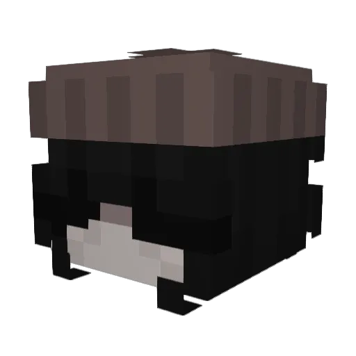 da3rdweeel Minecraft avatar head, 3D render