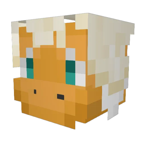 da_derg Minecraft avatar head, 3D render