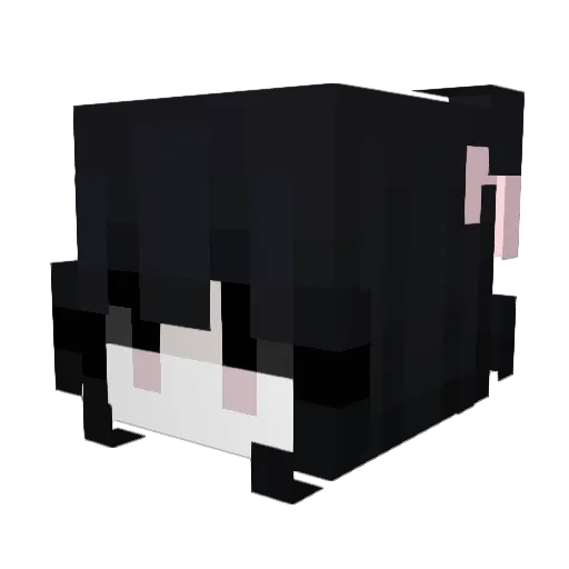 daaliia Minecraft avatar head, 3D render