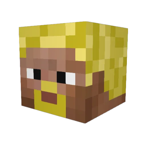 daan2040 Minecraft avatar head, 3D render