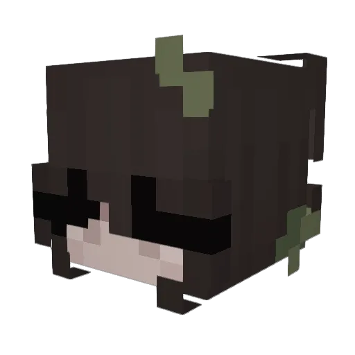 daarito Minecraft avatar head, 3D render