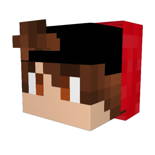 dabeast11301 Minecraft avatar head, 3D render