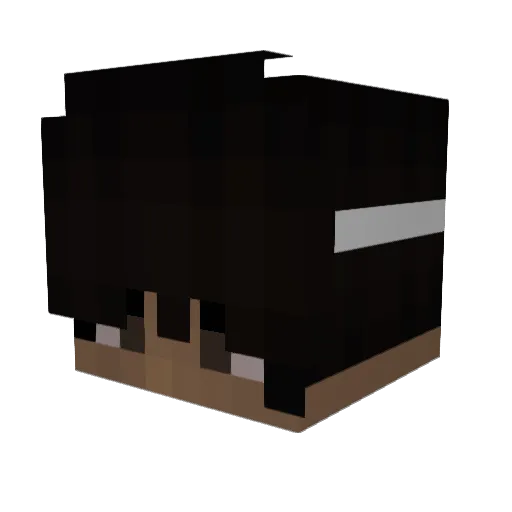 dabei Minecraft avatar head, 3D render
