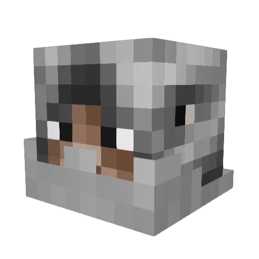 dabigsleez Minecraft avatar head, 3D render
