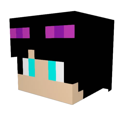 daboyu Minecraft avatar head, 3D render