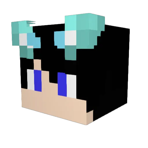 dachOP123 Minecraft avatar head, 3D render