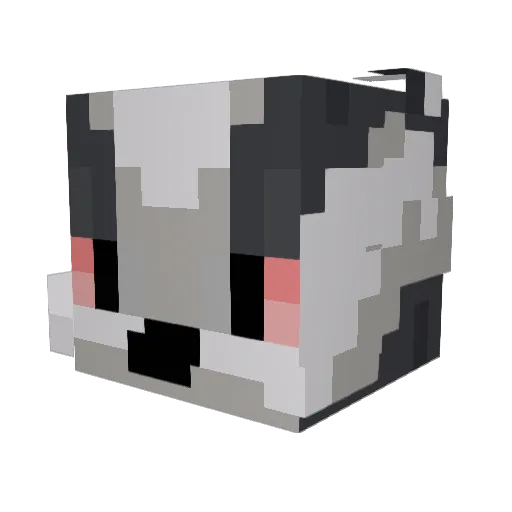 dachsLIVE Minecraft avatar head, 3D render