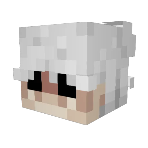 dacminer Minecraft avatar head, 3D render