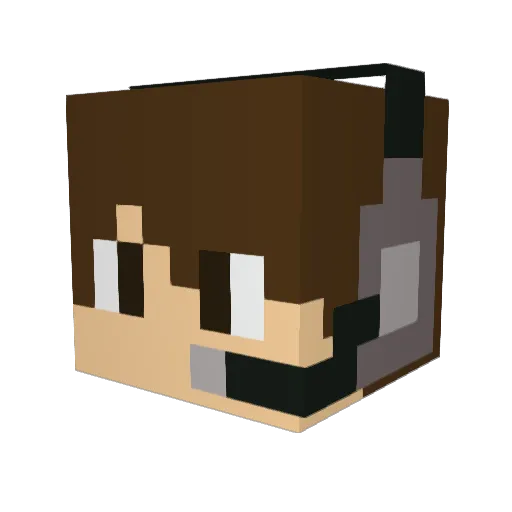dacoolwizard Minecraft avatar head, 3D render