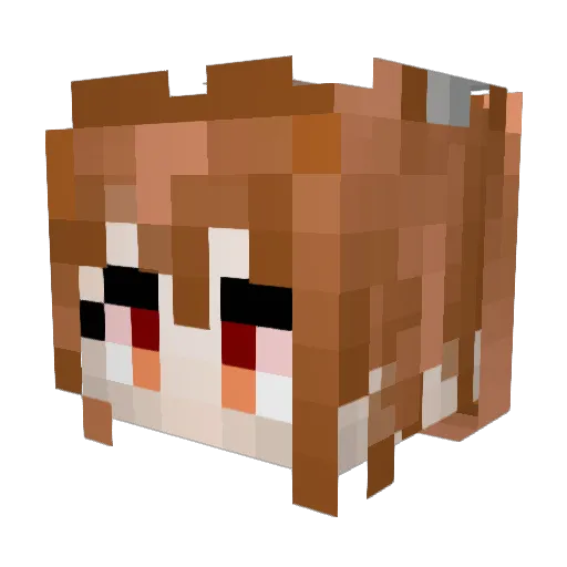 dacvid Minecraft avatar head, 3D render