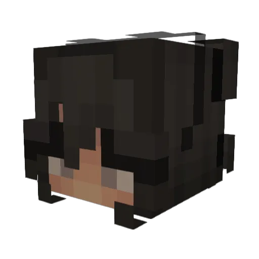 dadadadidada Minecraft avatar head, 3D render