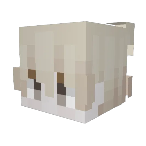 dadao1 Minecraft avatar head, 3D render