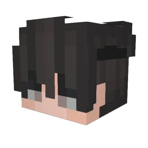 dadasdsa Minecraft avatar head, 3D render