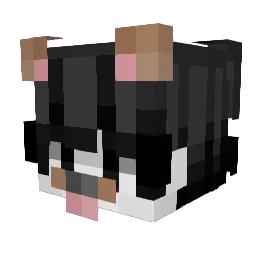 daddy_rxy Minecraft avatar head, 3D render