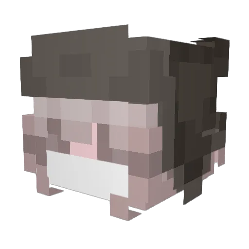 daddyhorse Minecraft avatar head, 3D render