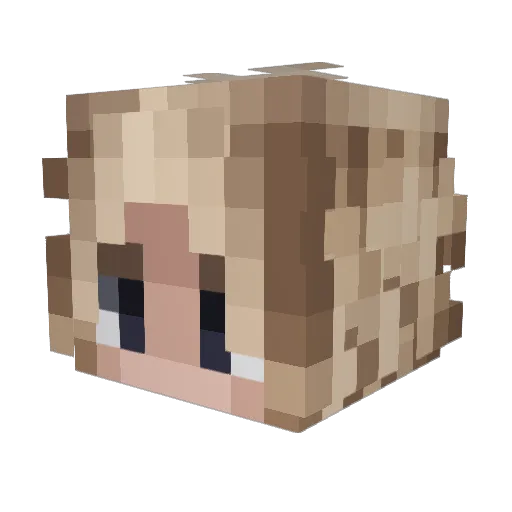daddyjoby1 Minecraft avatar head, 3D render