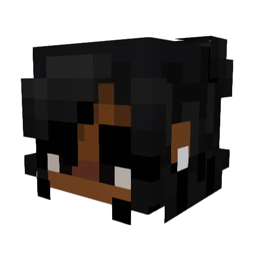 dadlol Minecraft avatar head, 3D render