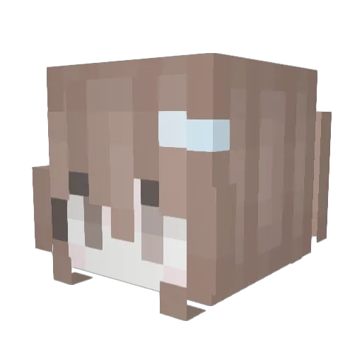 dadsasuke Minecraft avatar head, 3D render