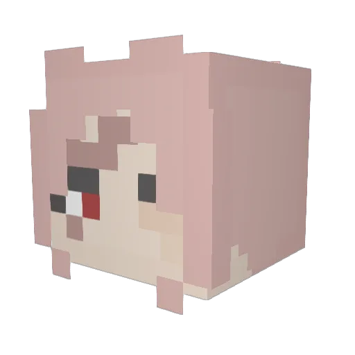 dadsnoop Minecraft avatar head, 3D render