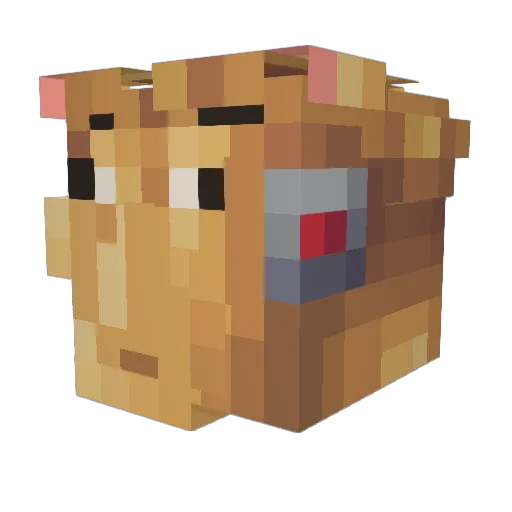 daeun0070 Minecraft avatar head, 3D render