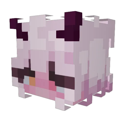 dafatchihuahua Minecraft avatar head, 3D render