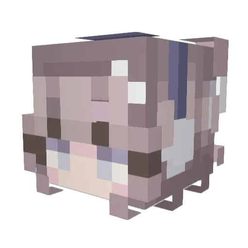 daffodill28 Minecraft avatar head, 3D render