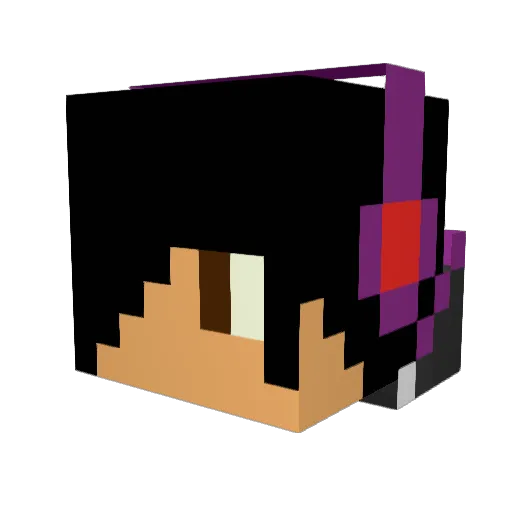 dafunkyfish78 Minecraft avatar head, 3D render