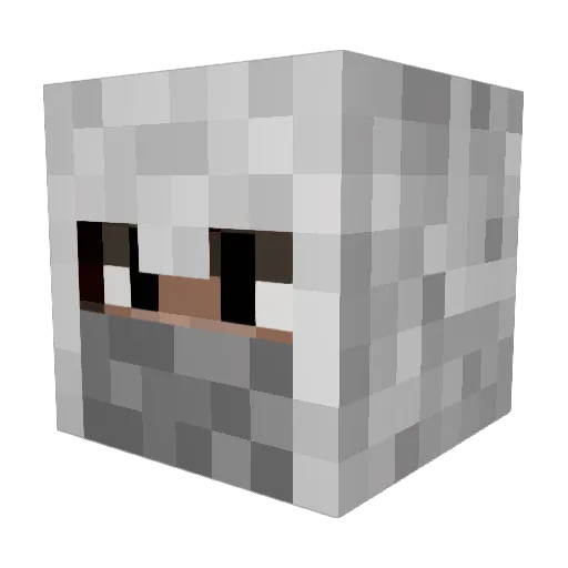 dahbomb5 Minecraft avatar head, 3D render