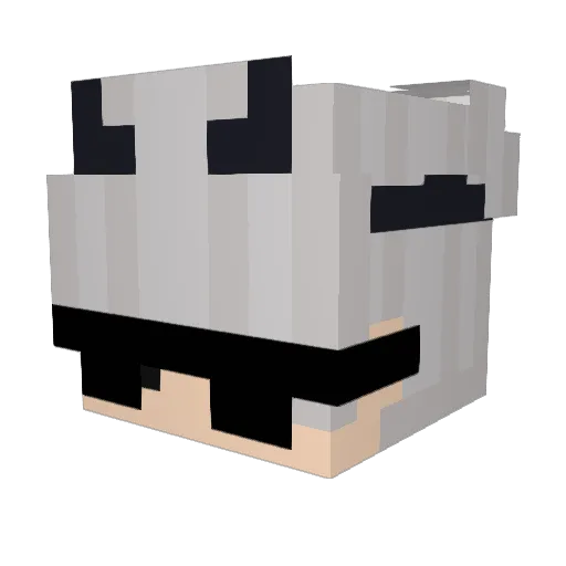 dahc00ldude Minecraft avatar head, 3D render