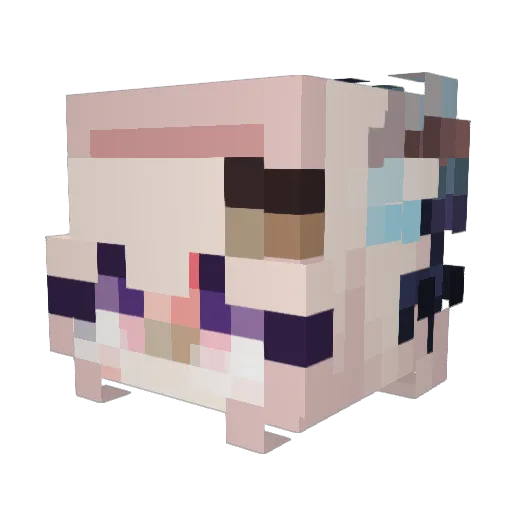 dahhyunnee Minecraft avatar head, 3D render
