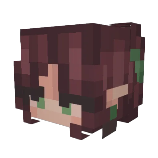 dahilight Minecraft avatar head, 3D render
